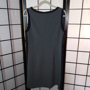 10A. Ann Taylor LOFT 2-Tone Dress